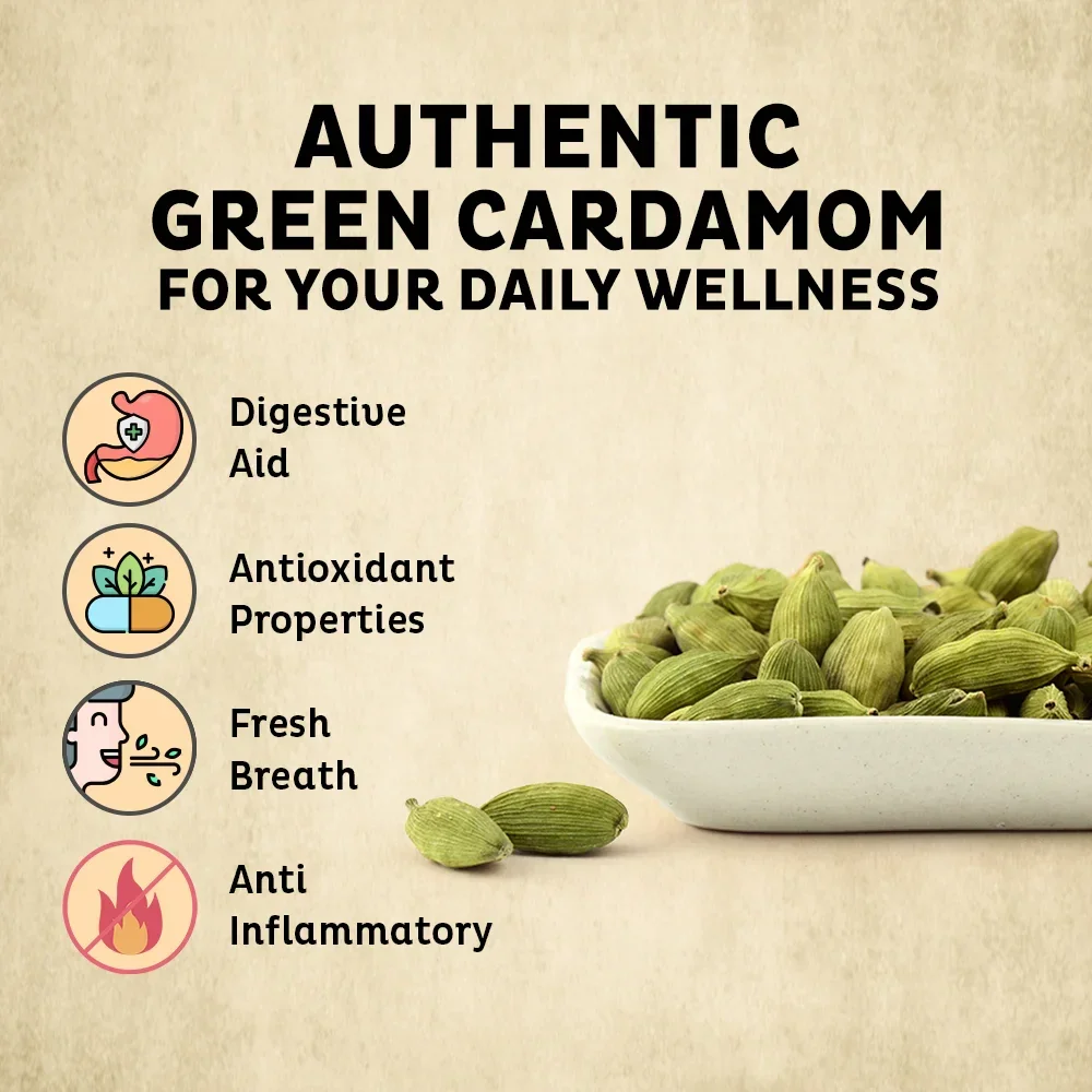 Orika Bold Green Cardamom Whole 25g | Bold Elaichi Green | No Artificial Colours or Preservatives - Image 6
