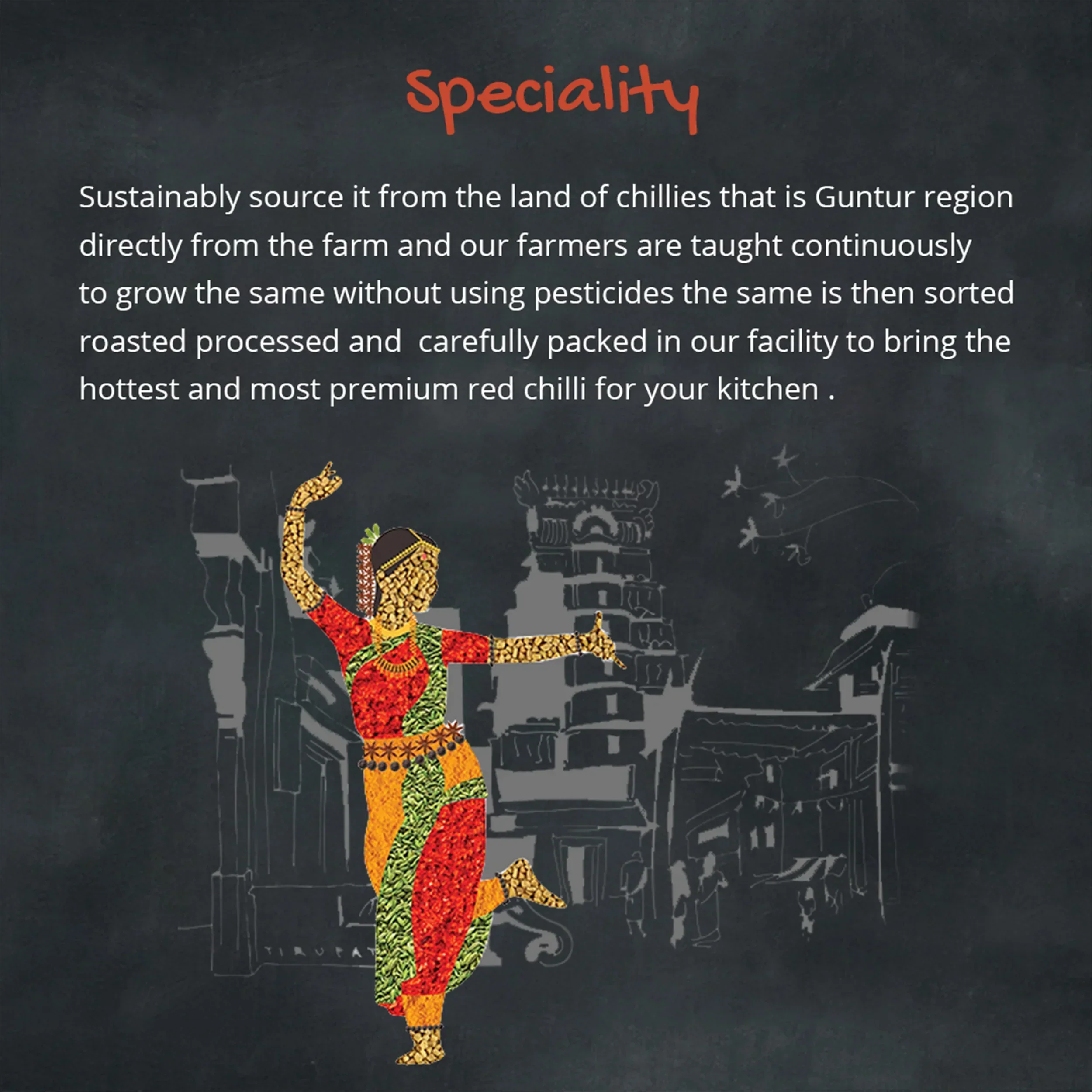 Orika Salem Turmeric, Hot Red Chilli Powder, Kashmiri Red Chilli Powder, Coriander Powder 100 Gm Each - Image 16