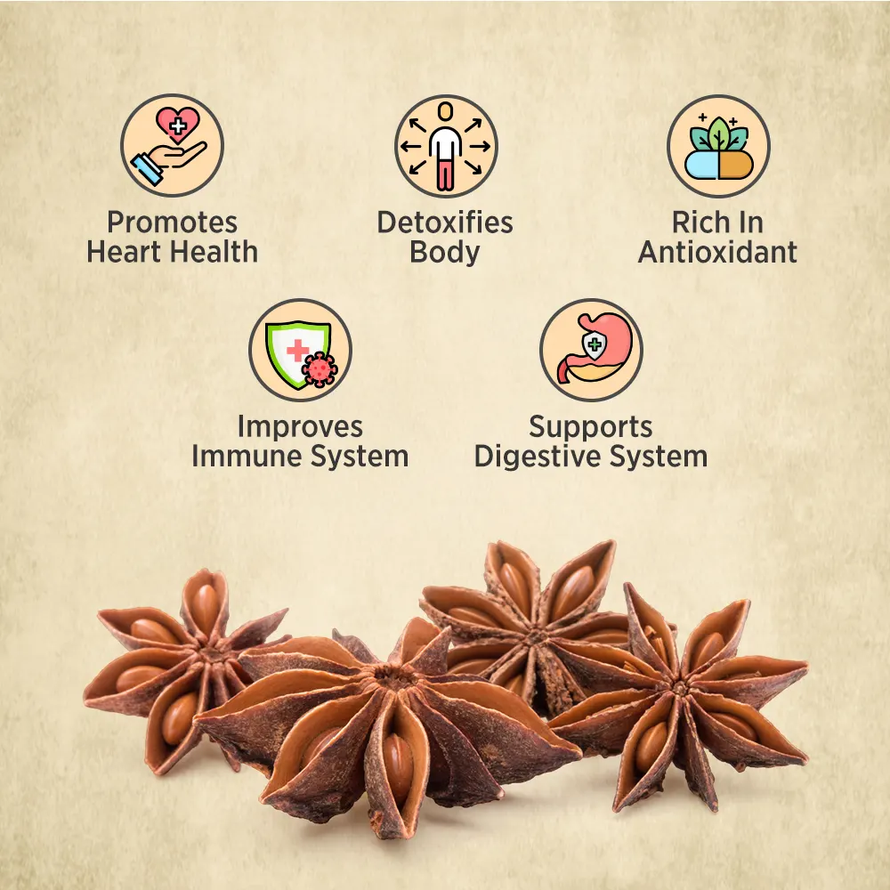 ORIKA Star Anise (Chakra Phool) | 25g - Image 6